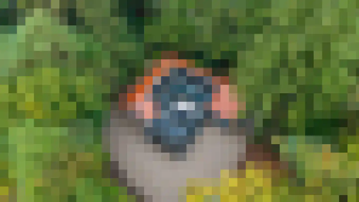 Dennenlaan 7 Epe thumbnail 46