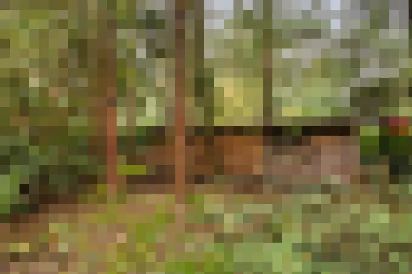 Dennenlaan 7 Epe thumbnail 47