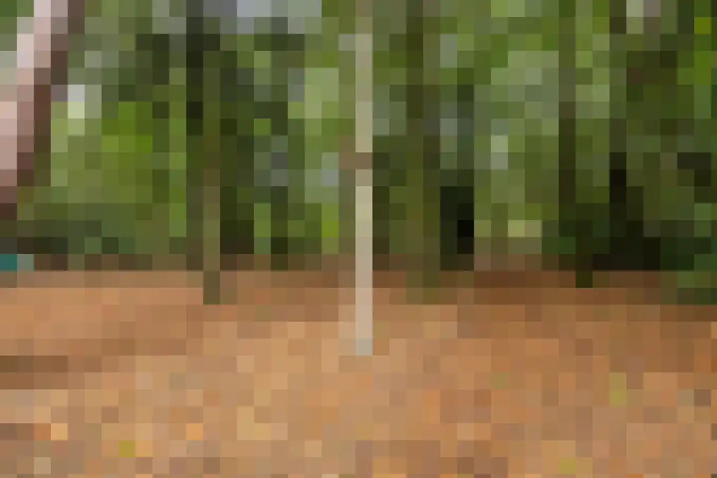Dennenlaan 7 Epe thumbnail 48