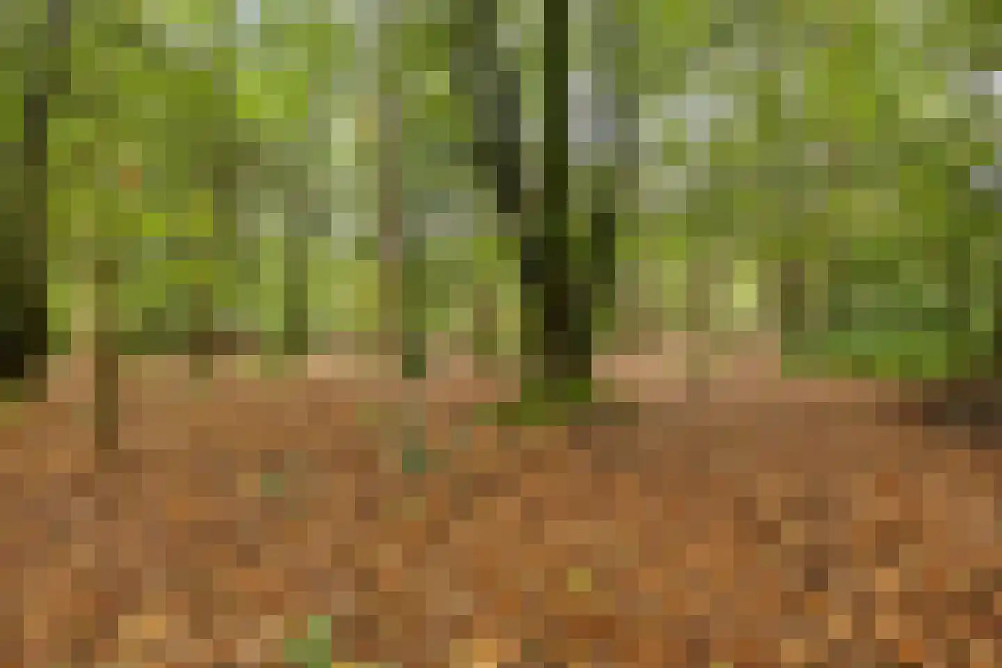 Dennenlaan 7 Epe thumbnail 49