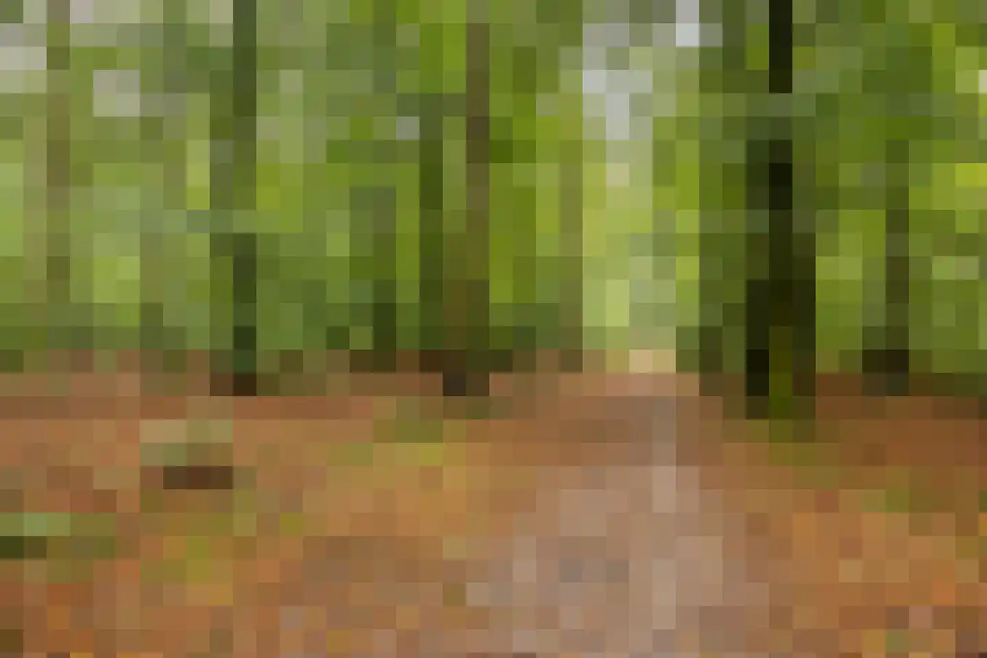 Dennenlaan 7 Epe thumbnail 51