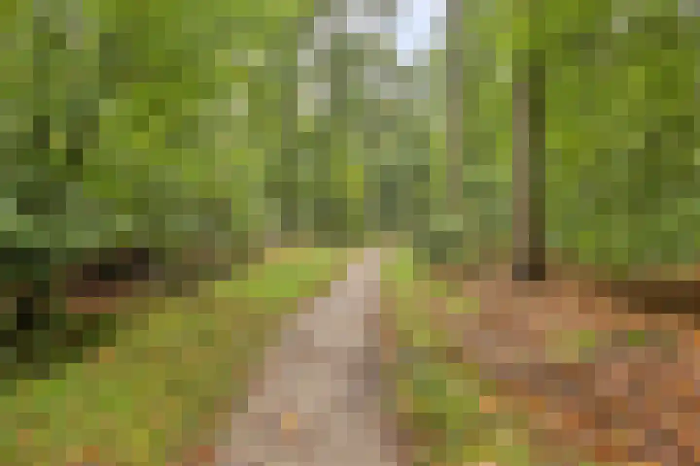 Dennenlaan 7 Epe thumbnail 52