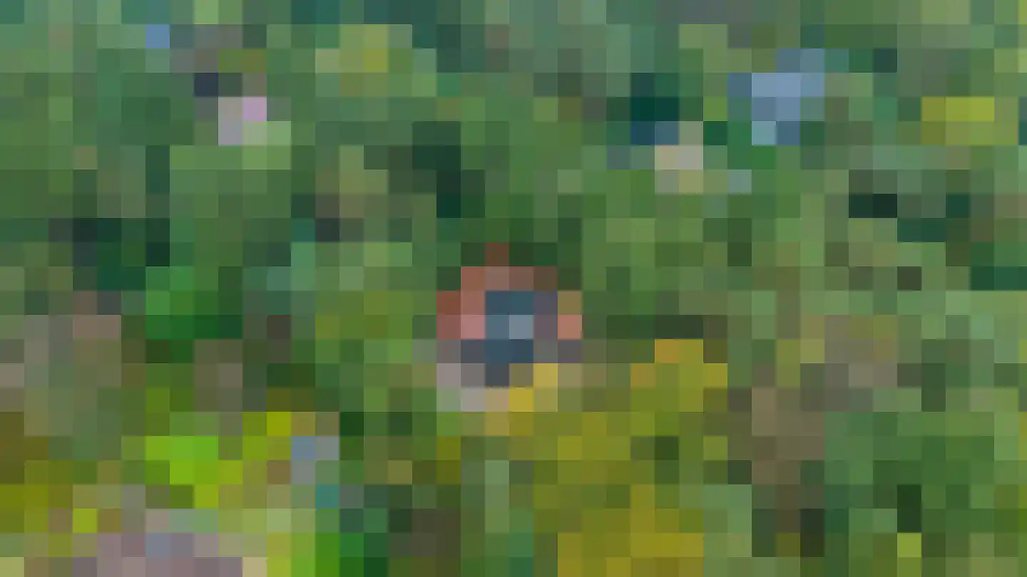 Dennenlaan 7 Epe thumbnail 55