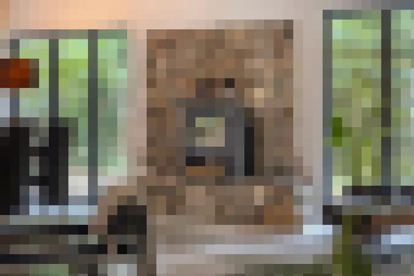 Dennenlaan 7 Epe thumbnail 6
