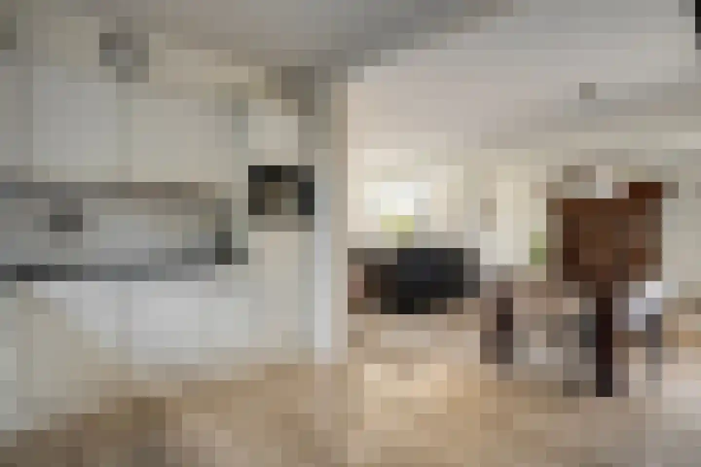 Dennenlaan 7 Havelte thumbnail 25