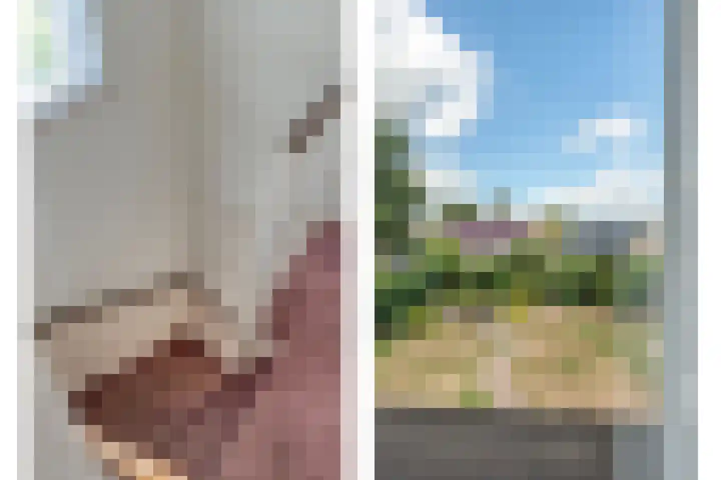 Dennenlaan 7 Havelte thumbnail 33