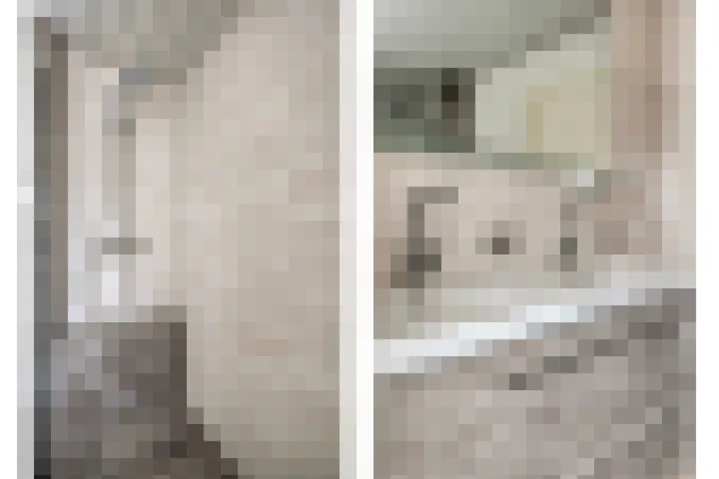 Dennenlaan 7 Havelte thumbnail 45