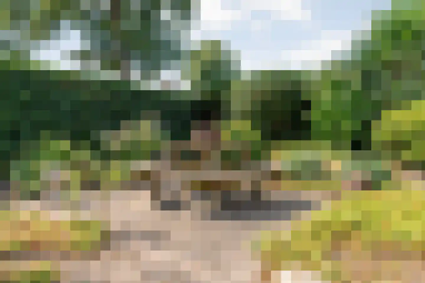 Dennenlaan 7 Havelte thumbnail 49