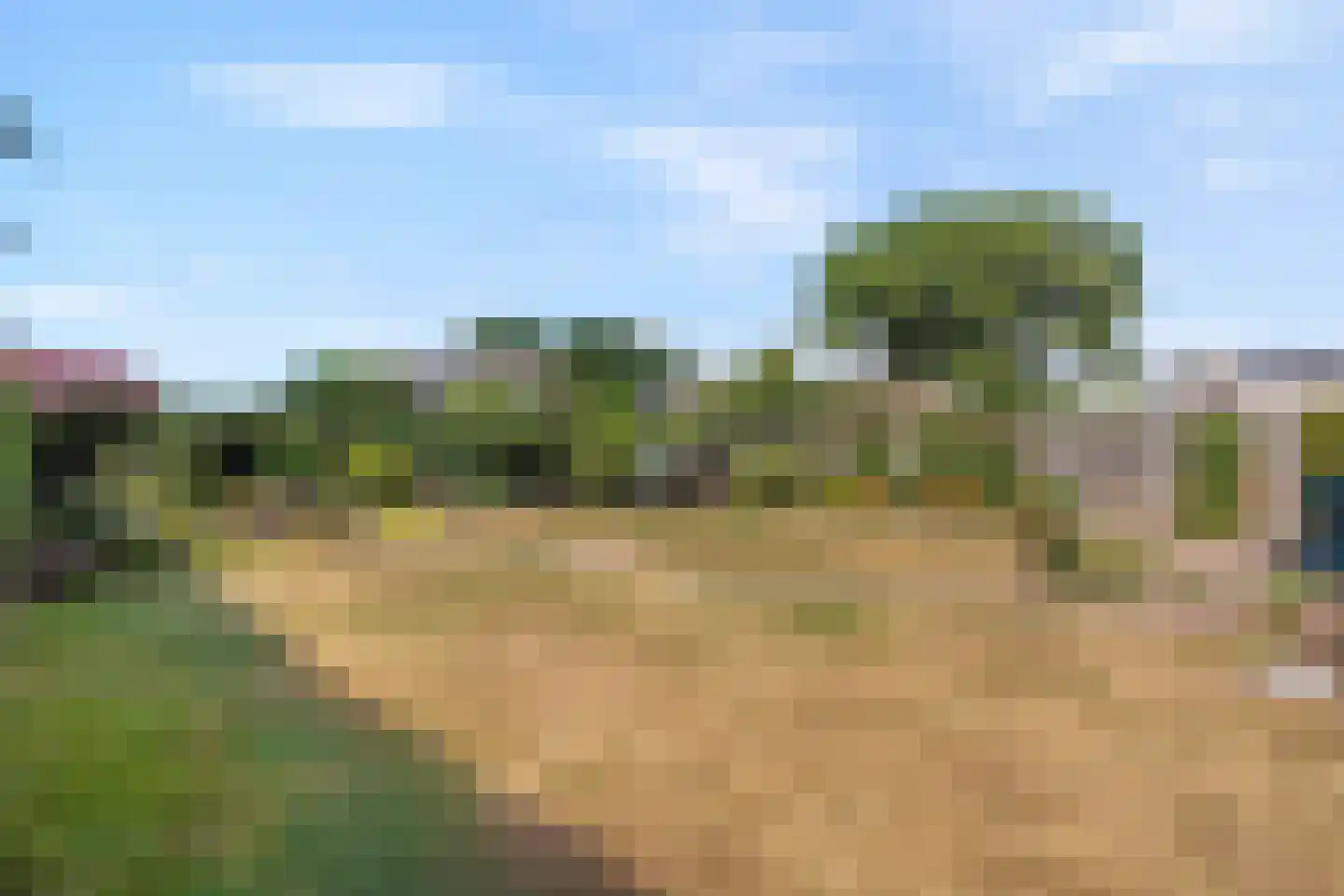 Dennenlaan 7 Havelte thumbnail 50