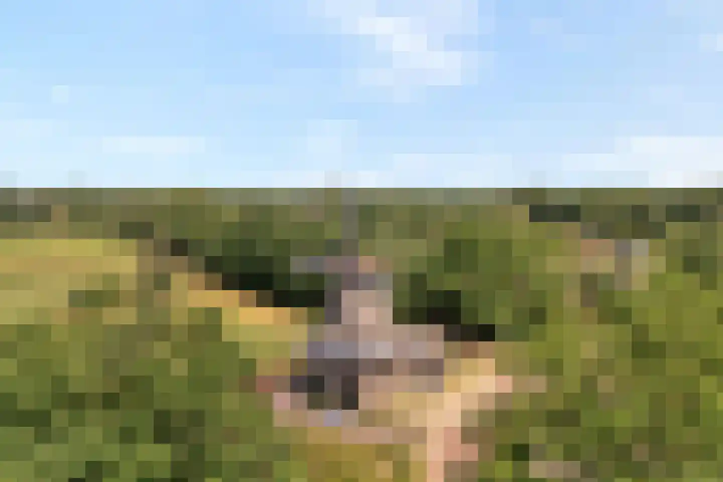 Dennenlaan 7 Havelte thumbnail 54