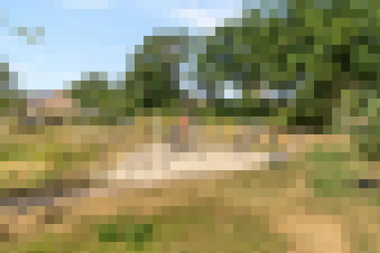 Dennenlaan 7 Havelte thumbnail 55