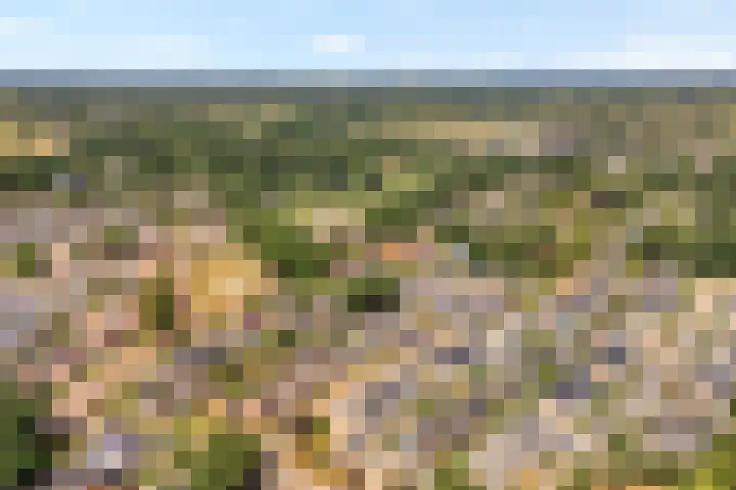 Dennenlaan 7 Havelte thumbnail 6