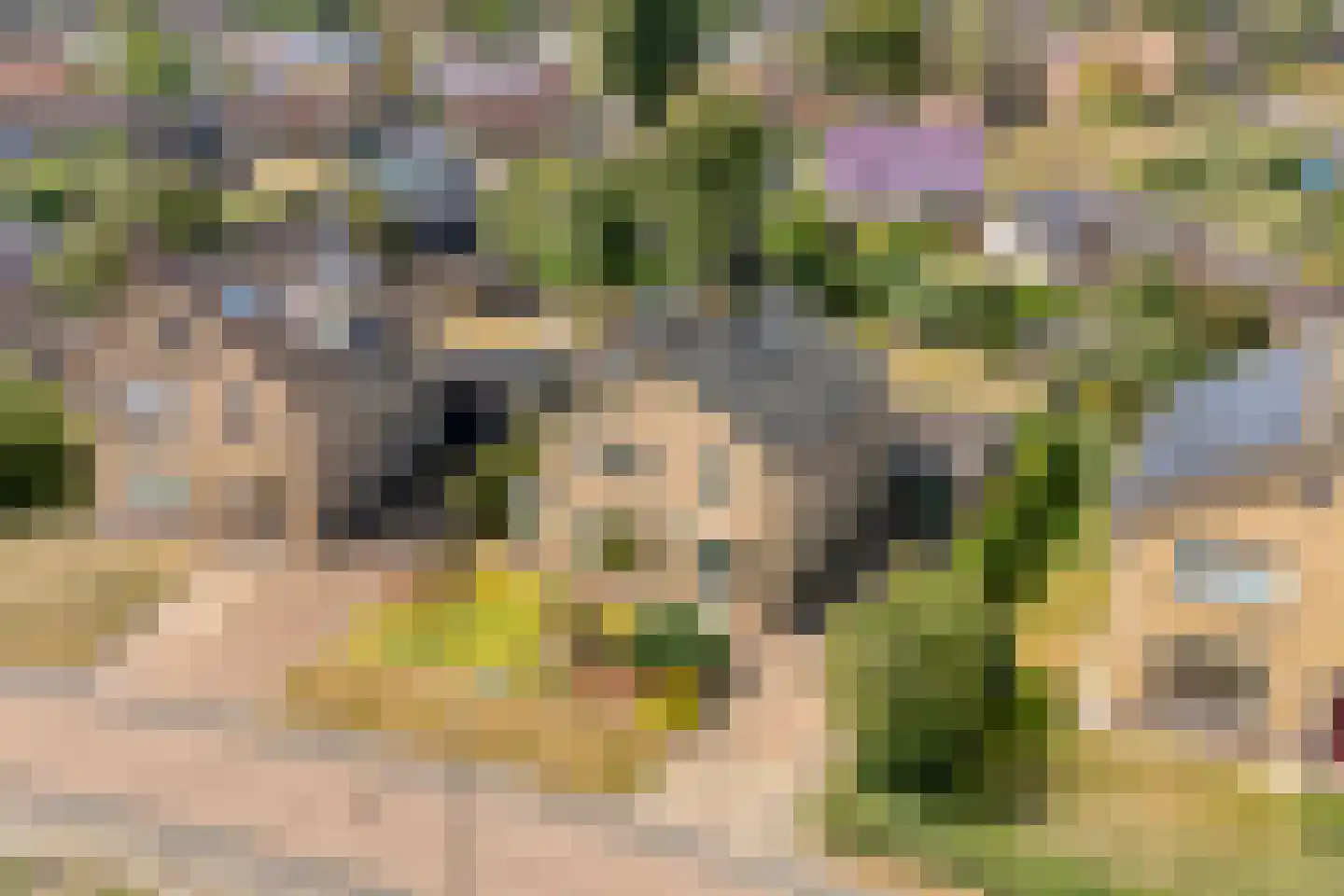 Dennenlaan 7 Havelte thumbnail 7