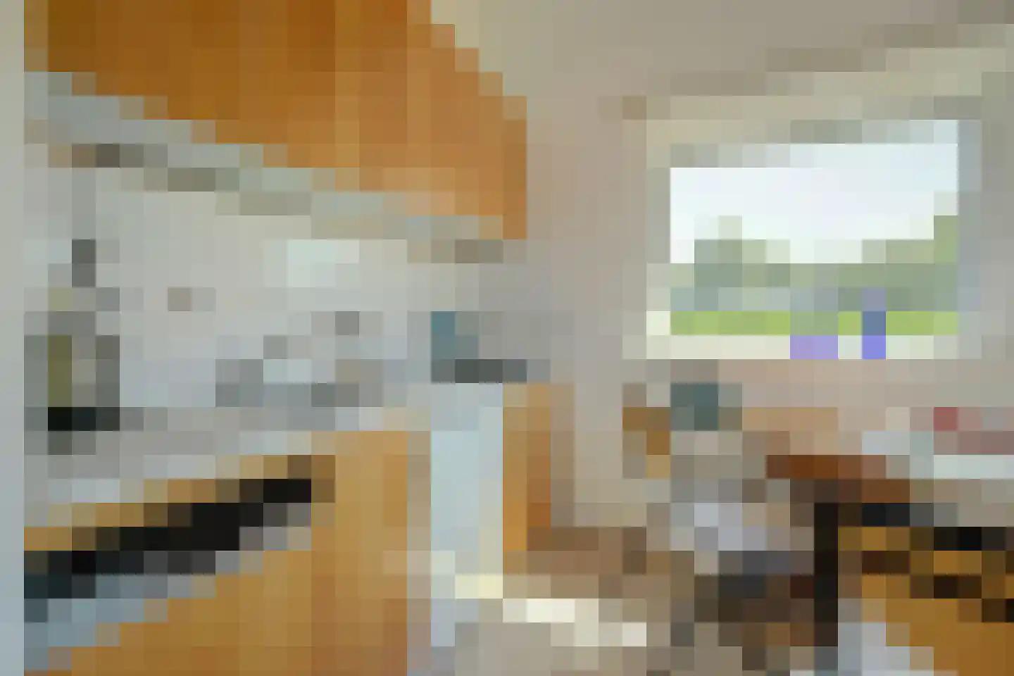 Dennenlaan 7 Kamperland thumbnail 11