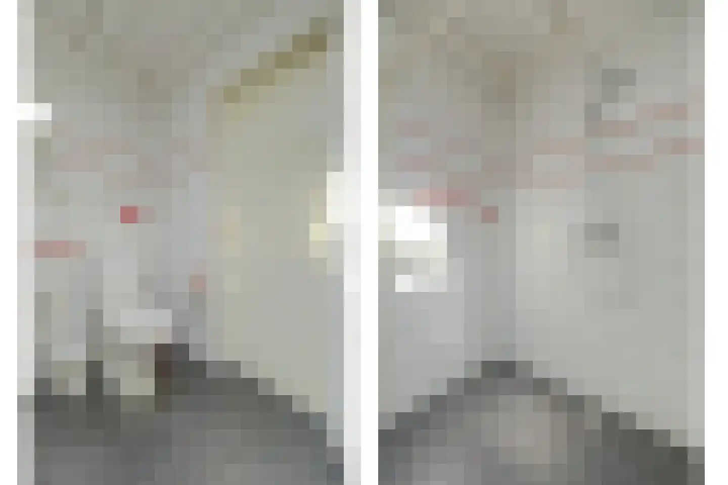Dennenlaan 7 Kamperland thumbnail 17