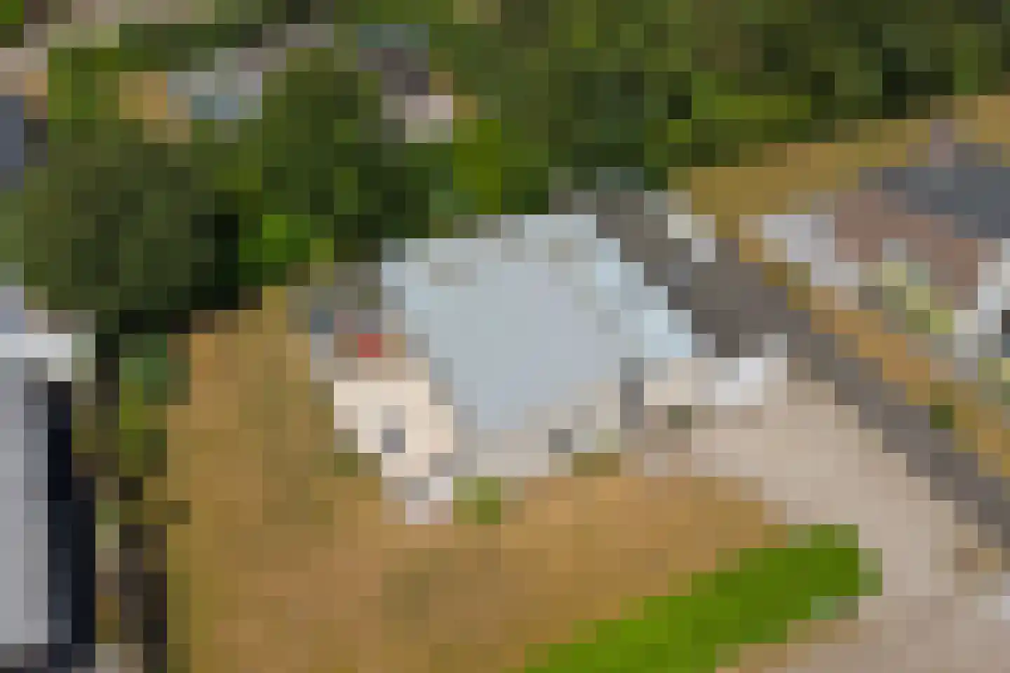 Dennenlaan 7 Kamperland thumbnail 30