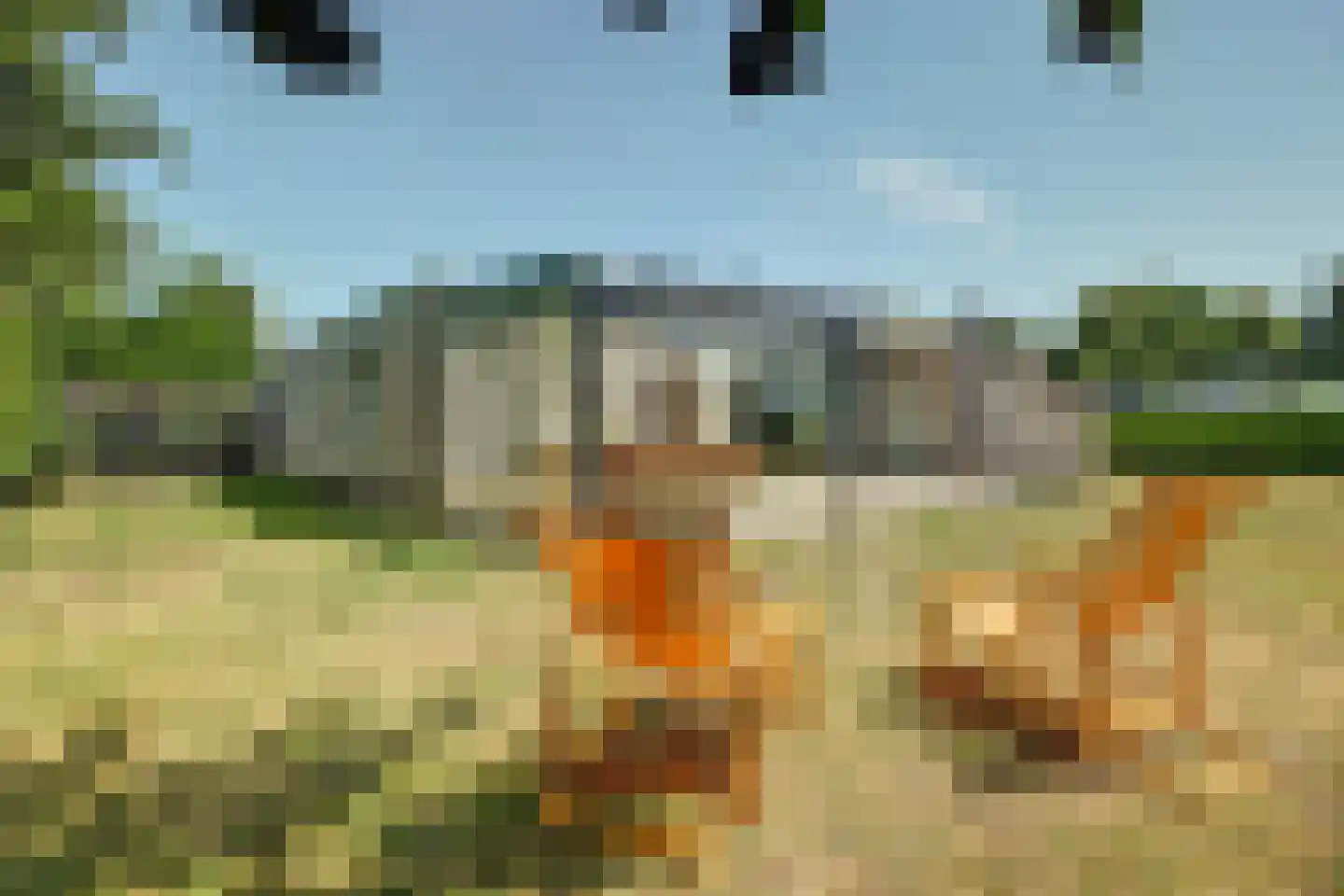 Dennenlaan 7 Kamperland thumbnail 4