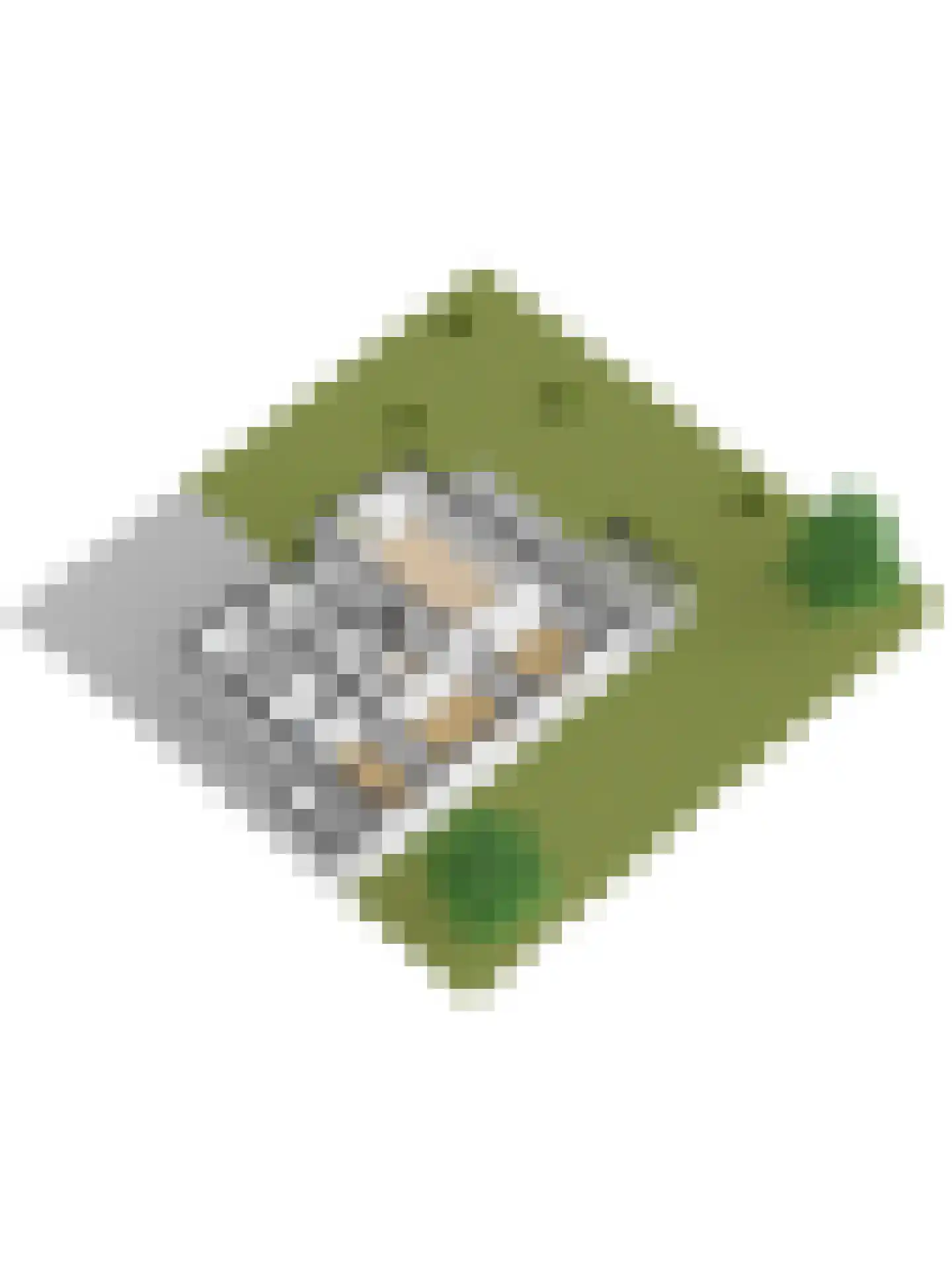 Dennenlaan 7 Kamperland thumbnail 43