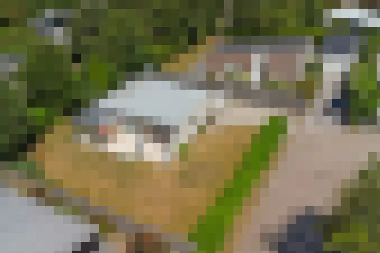 Dennenlaan 7 R Kamperland thumbnail 31