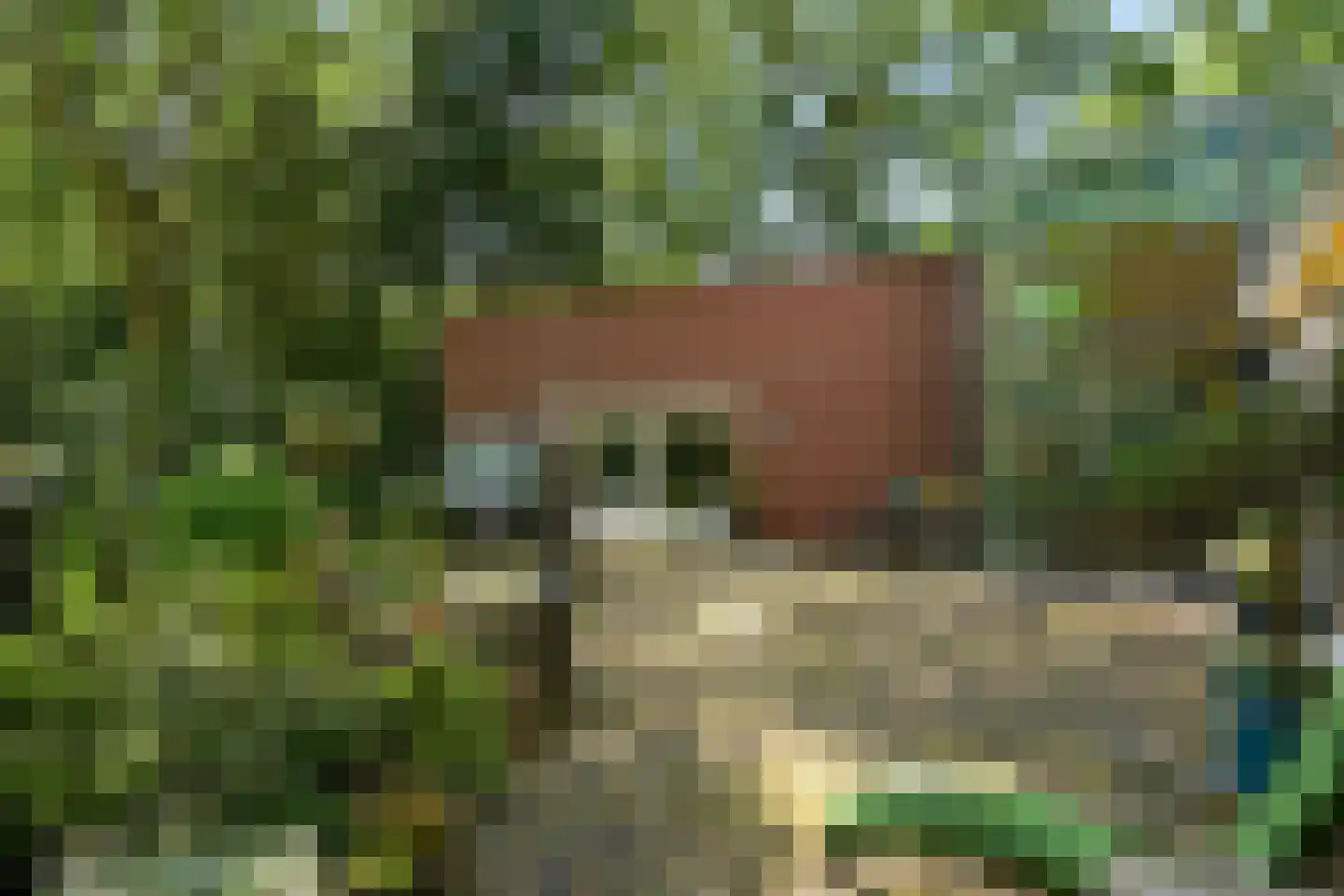 Dennenlaan 7 Wassenaar thumbnail 10