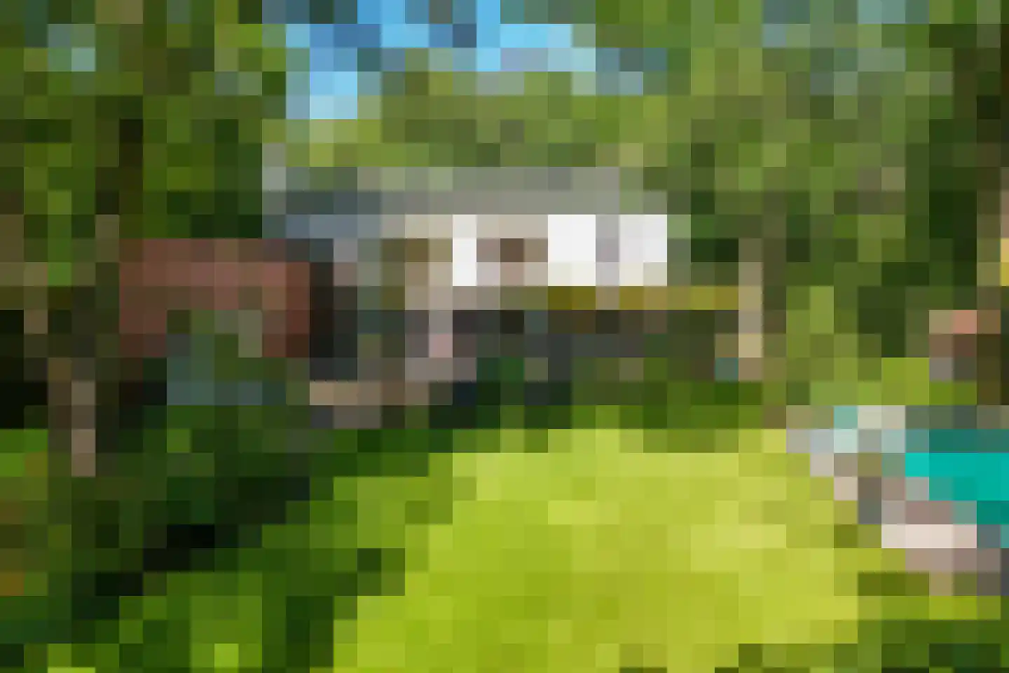 Dennenlaan 7 Wassenaar thumbnail 11
