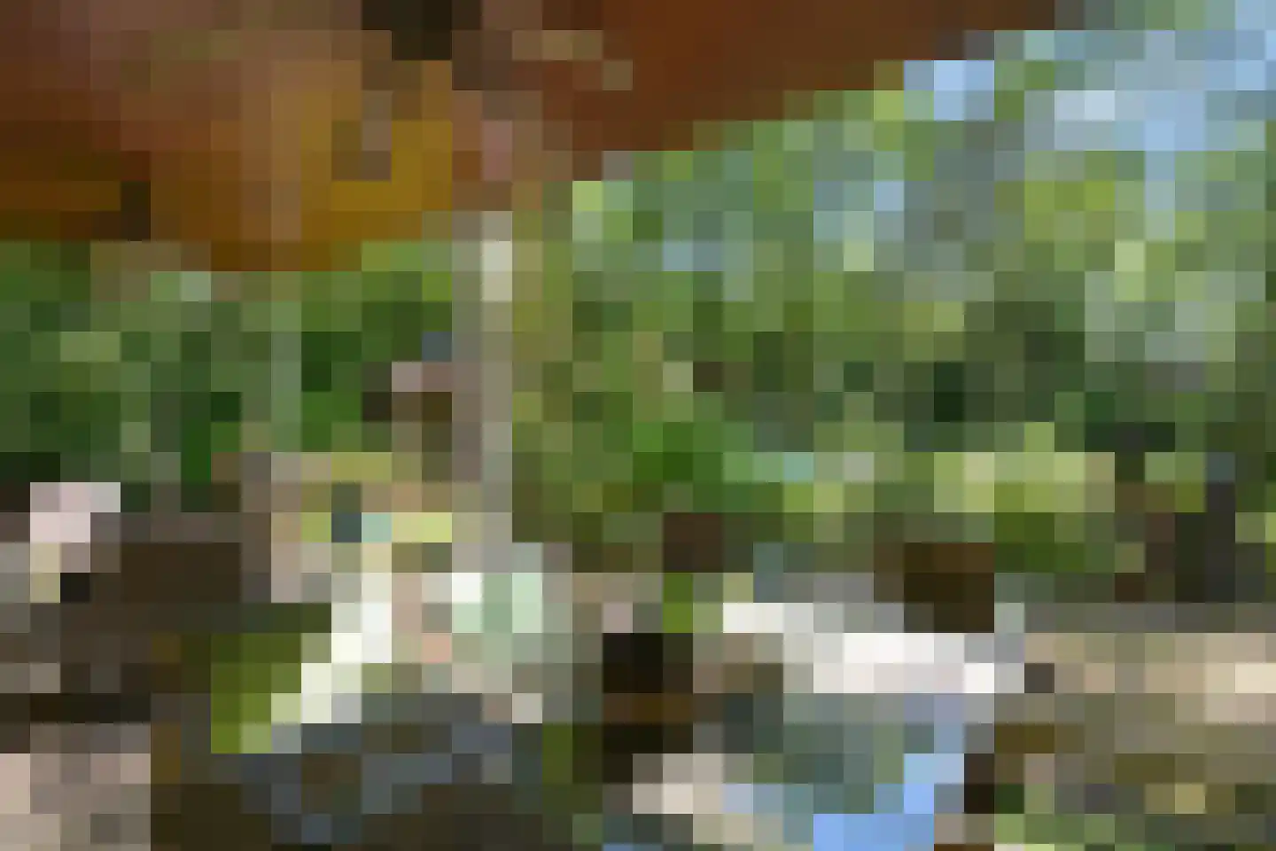 Dennenlaan 7 Wassenaar thumbnail 13