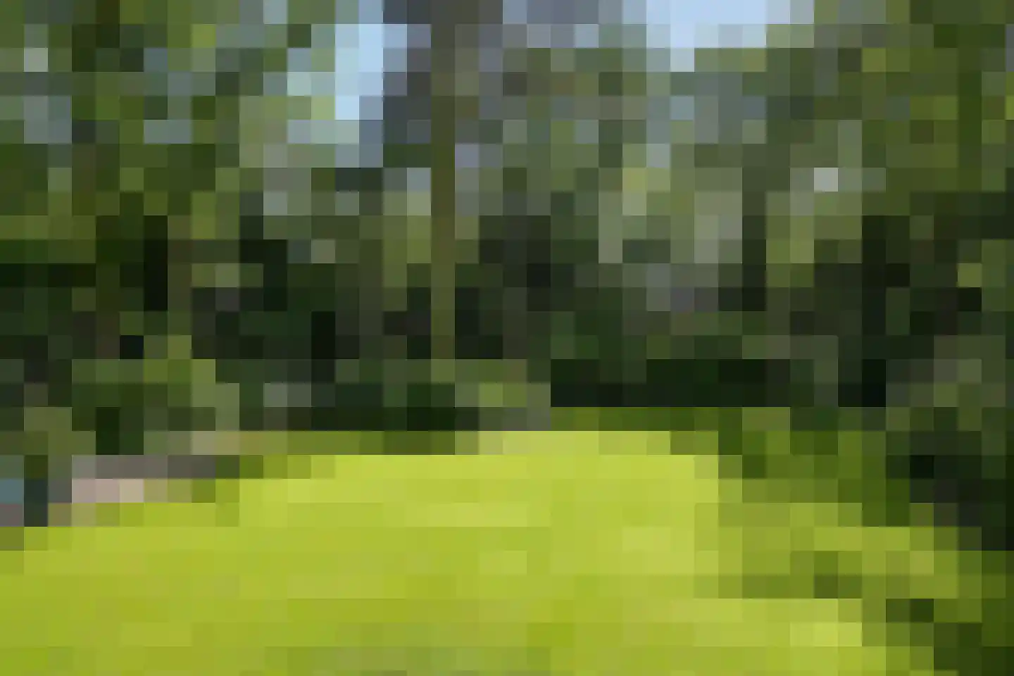 Dennenlaan 7 Wassenaar thumbnail 18
