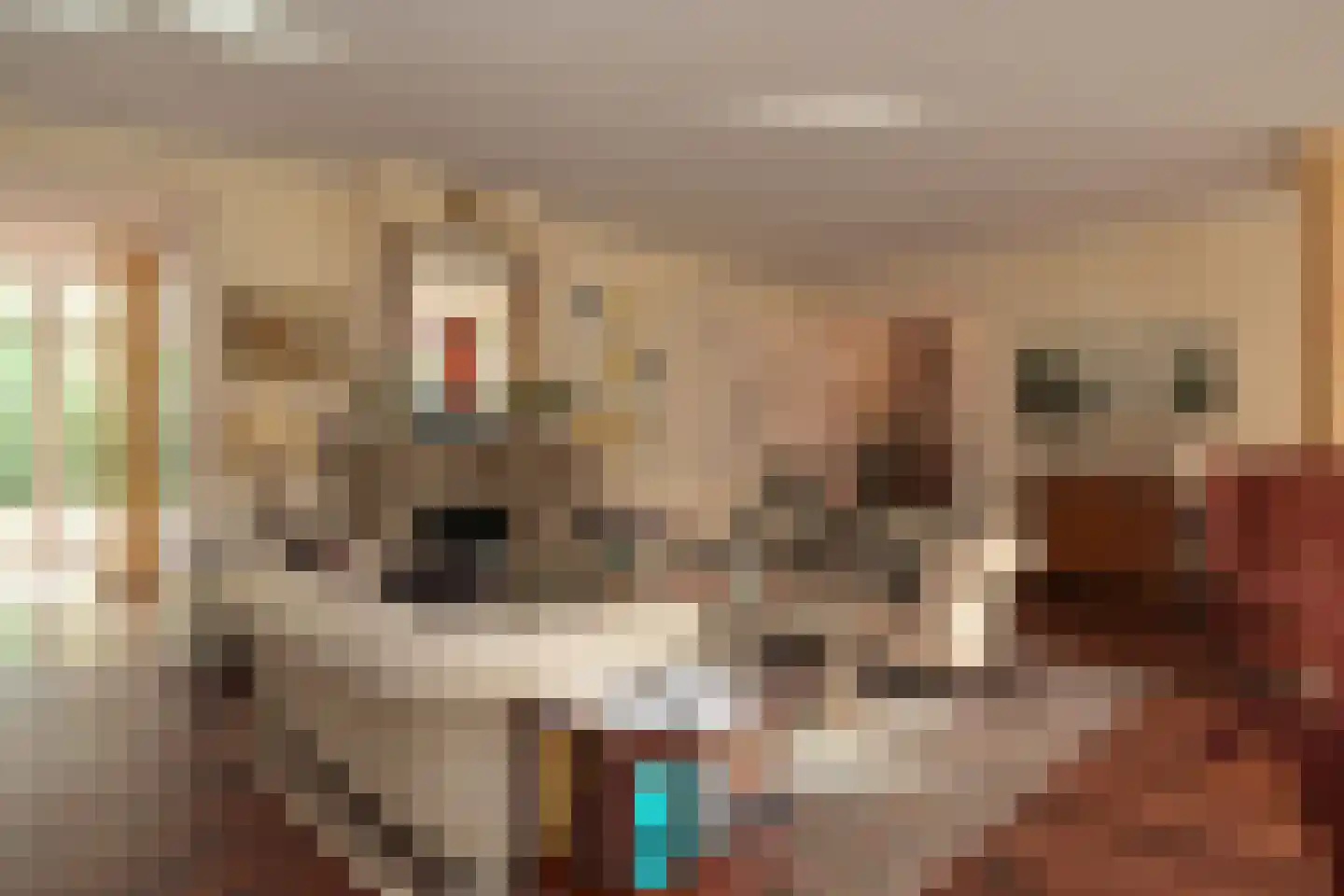 Dennenlaan 7 Wassenaar thumbnail 21