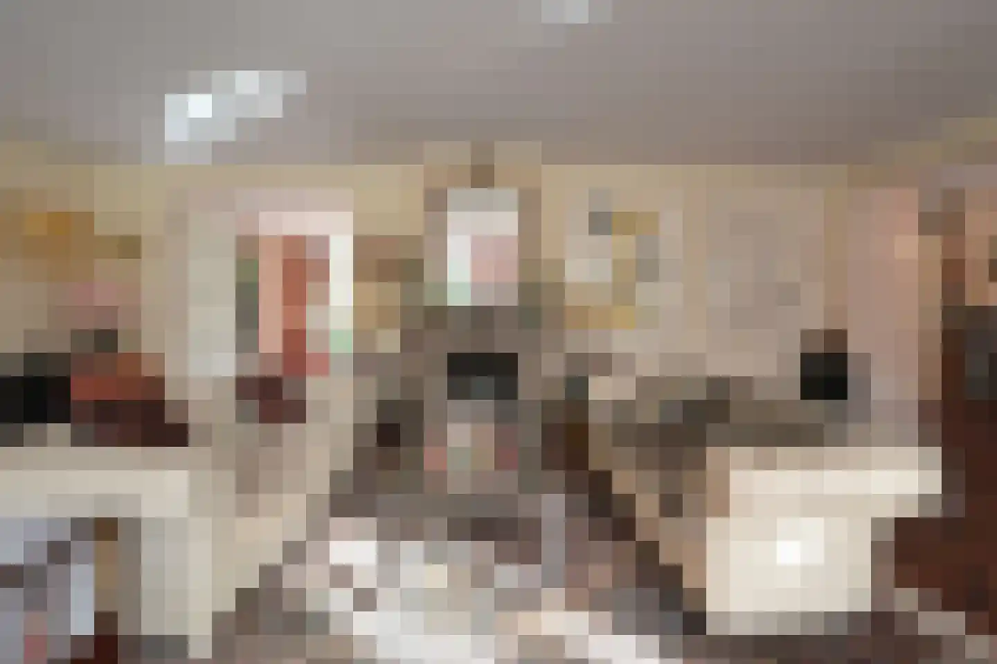 Dennenlaan 7 Wassenaar thumbnail 24