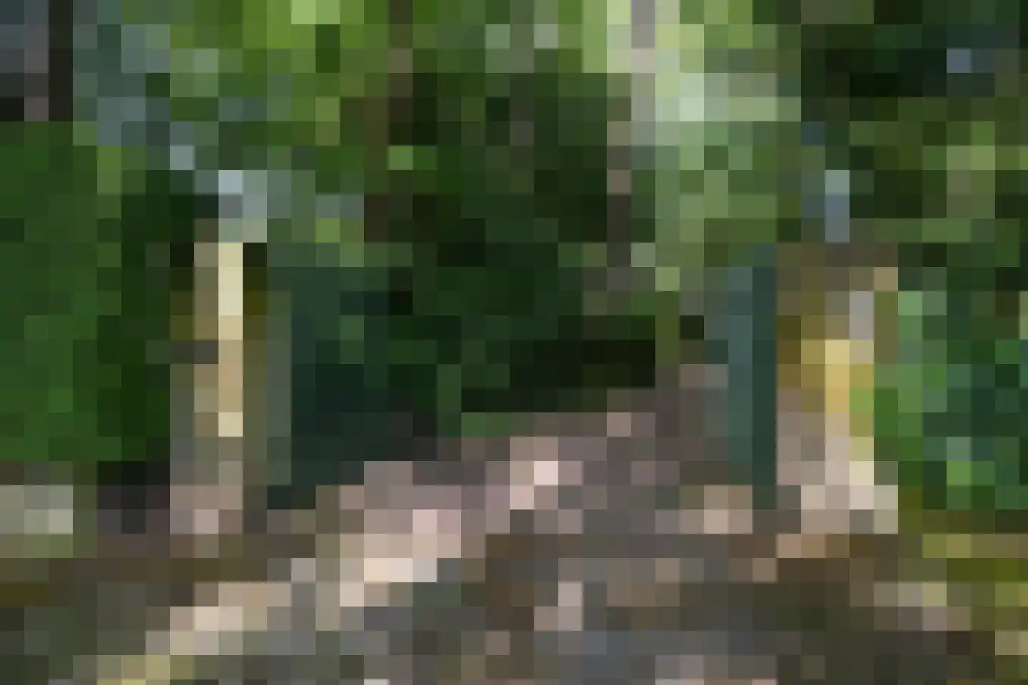 Dennenlaan 7 Wassenaar thumbnail 4