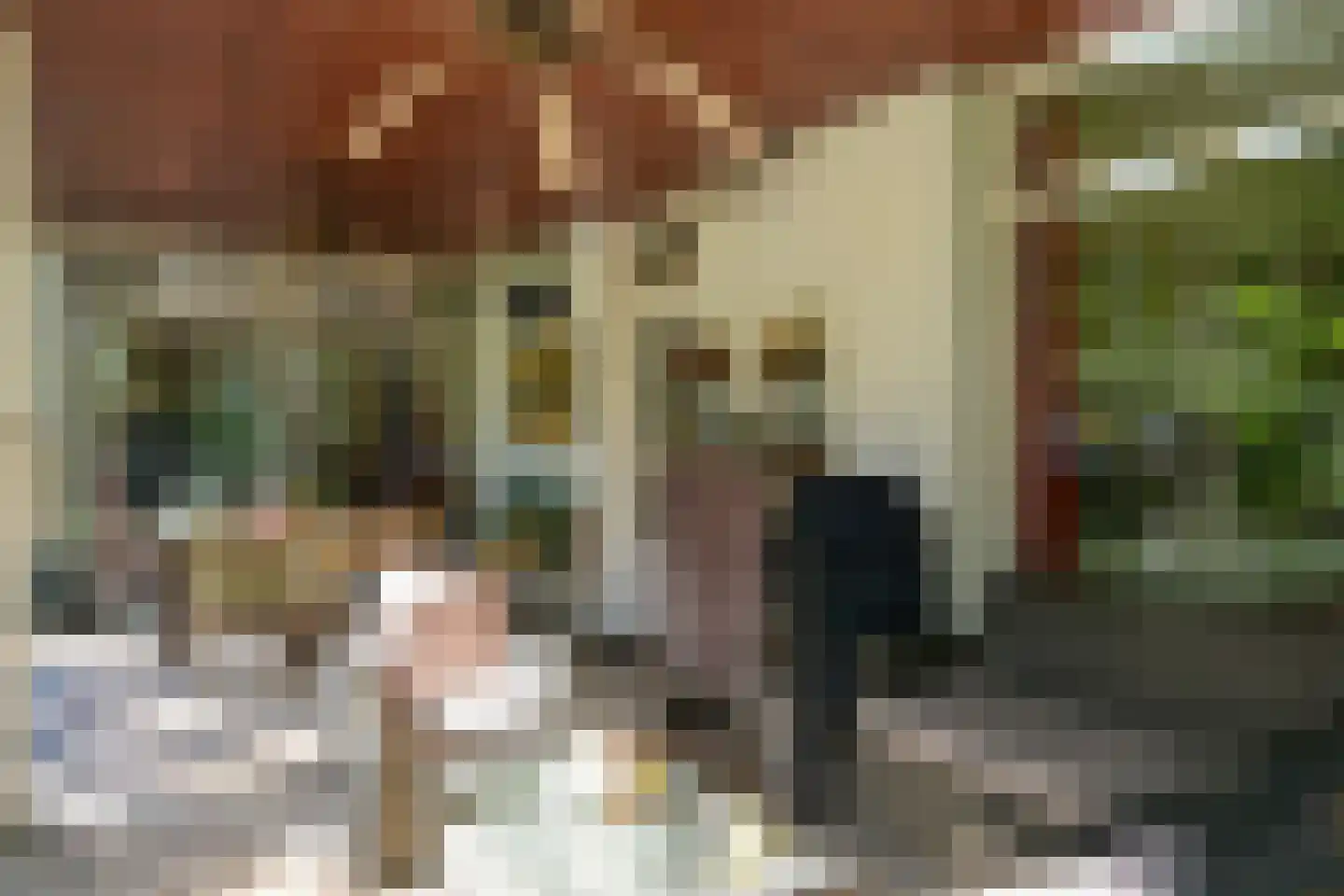 Dennenlaan 7 Wassenaar thumbnail 41