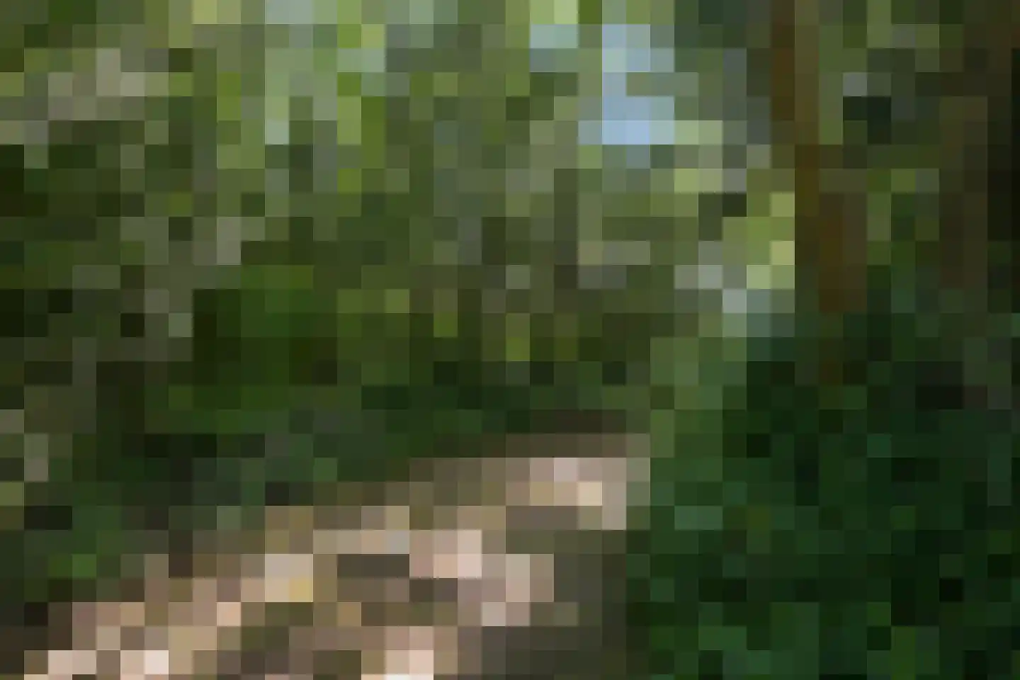 Dennenlaan 7 Wassenaar thumbnail 5