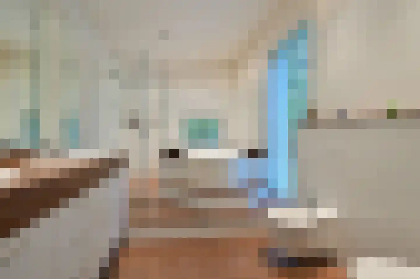 Dennenlaan 7 Wassenaar thumbnail 53