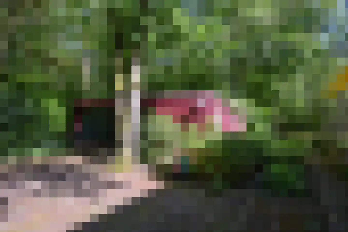 Dennenlaan 7 Wassenaar thumbnail 6