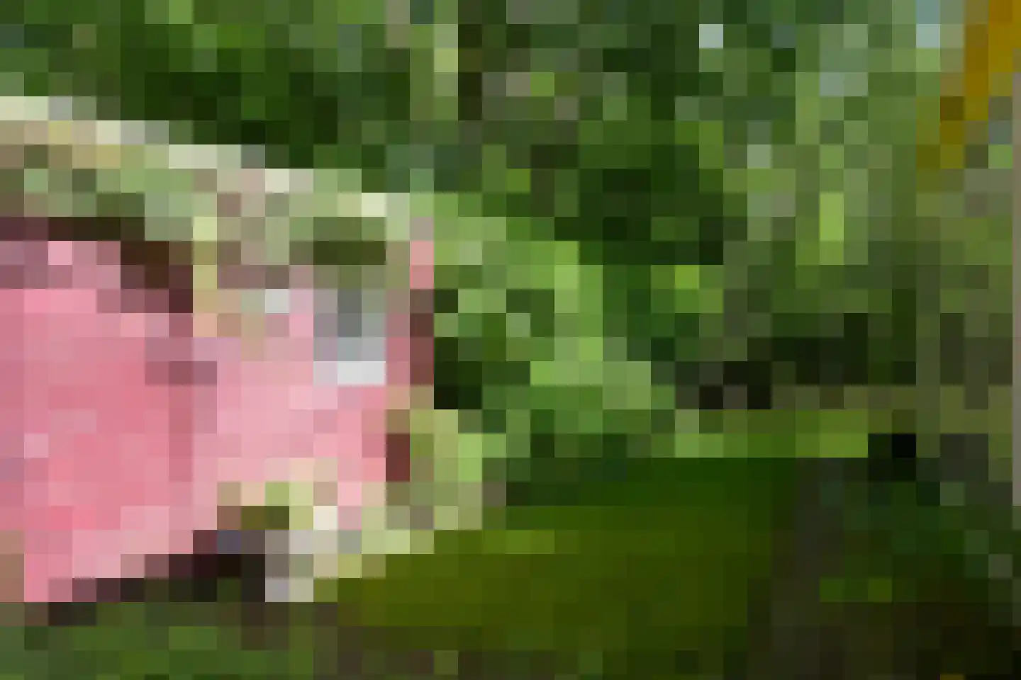 Dennenlaan 7 Wassenaar thumbnail 7