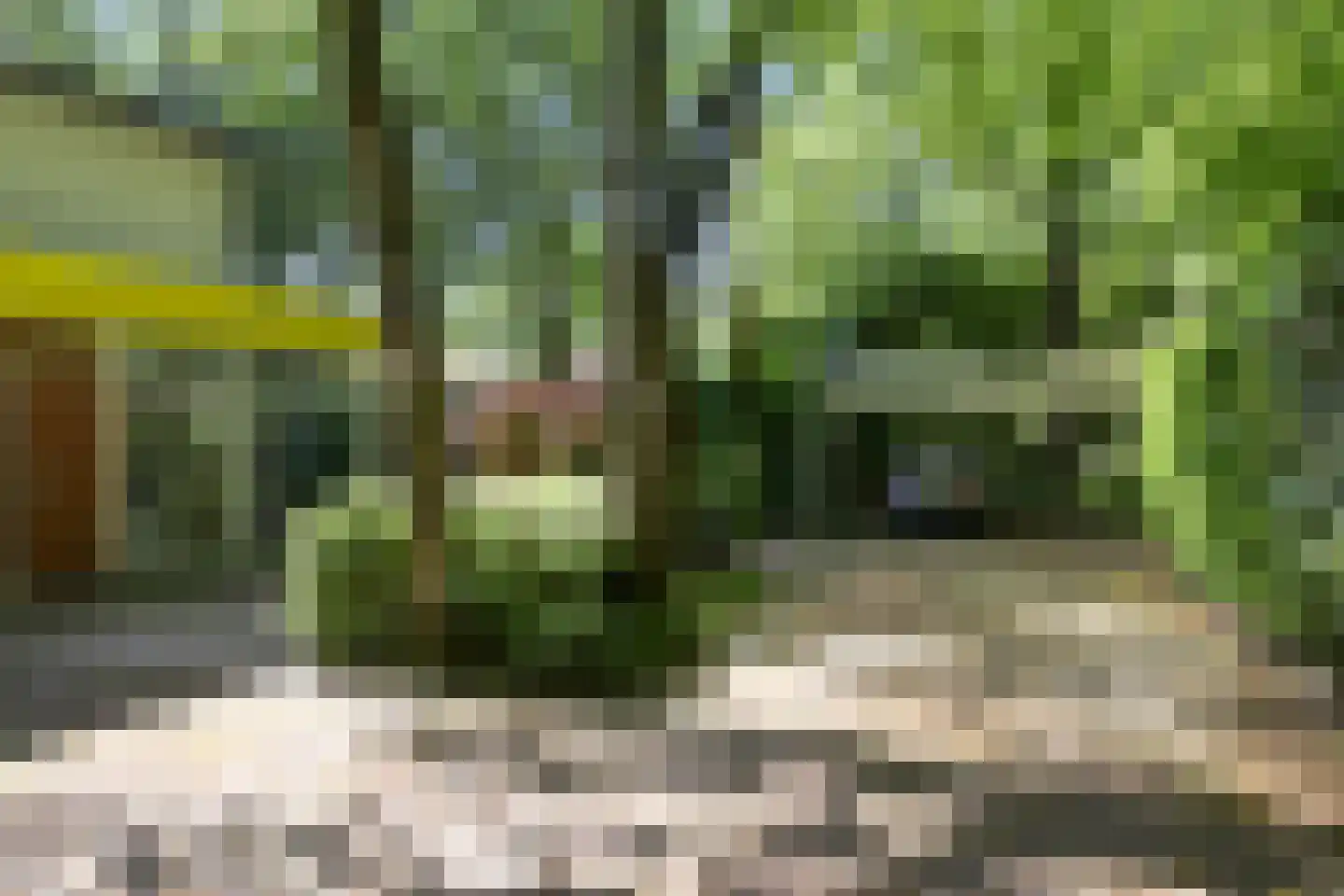 Dennenlaan 7 Wassenaar thumbnail 8