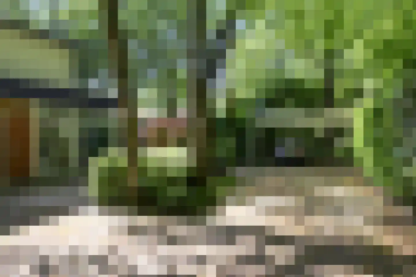 Dennenlaan 7 Wassenaar thumbnail 9