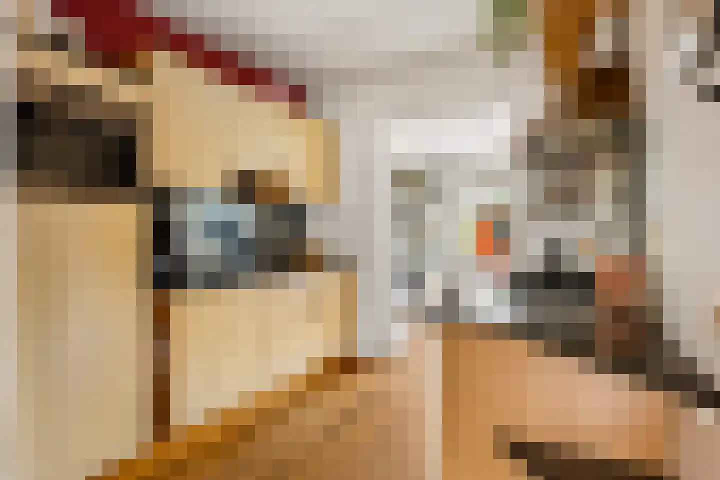 Dennenlaan 7 Zwolle thumbnail 10