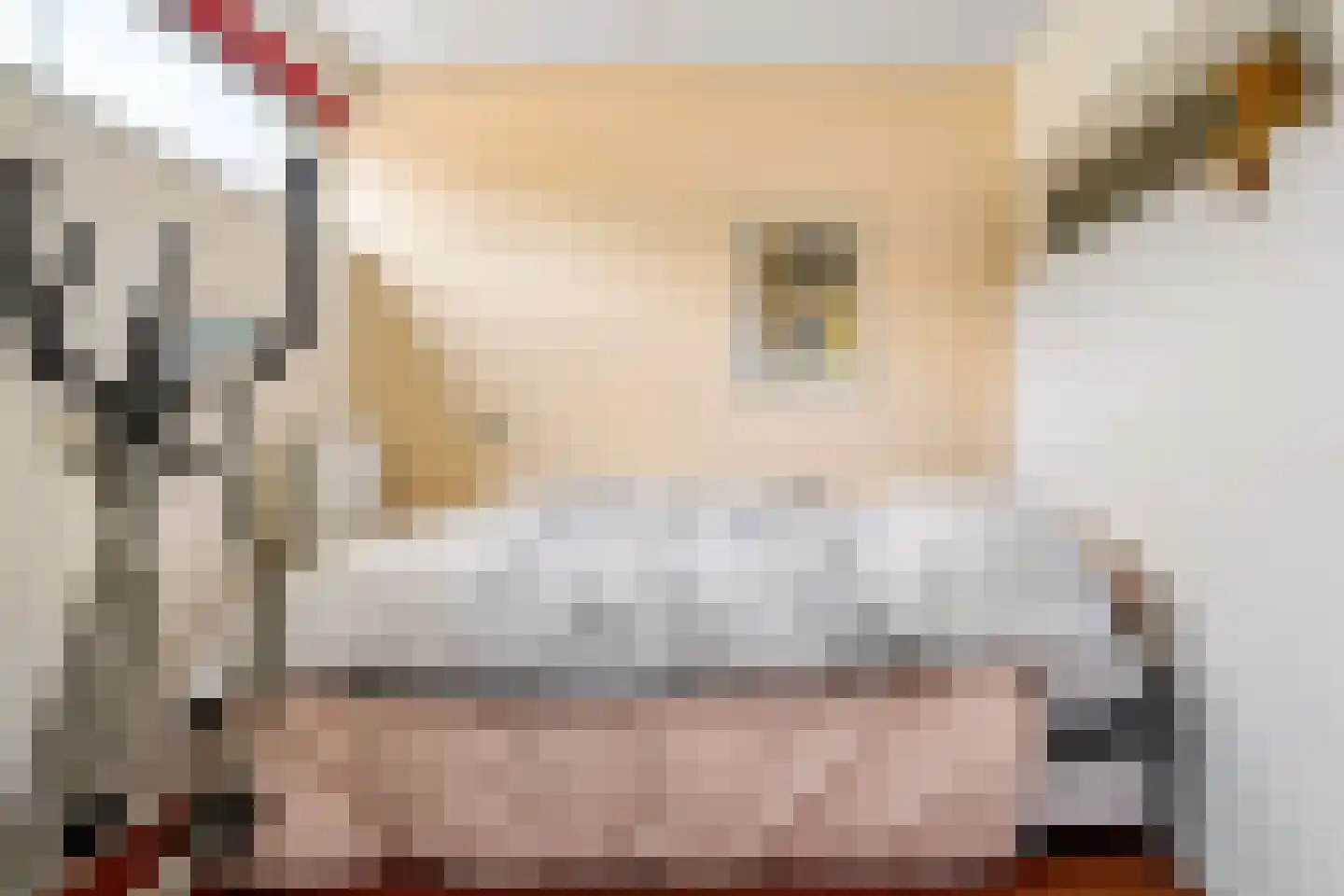 Dennenlaan 7 Zwolle thumbnail 17