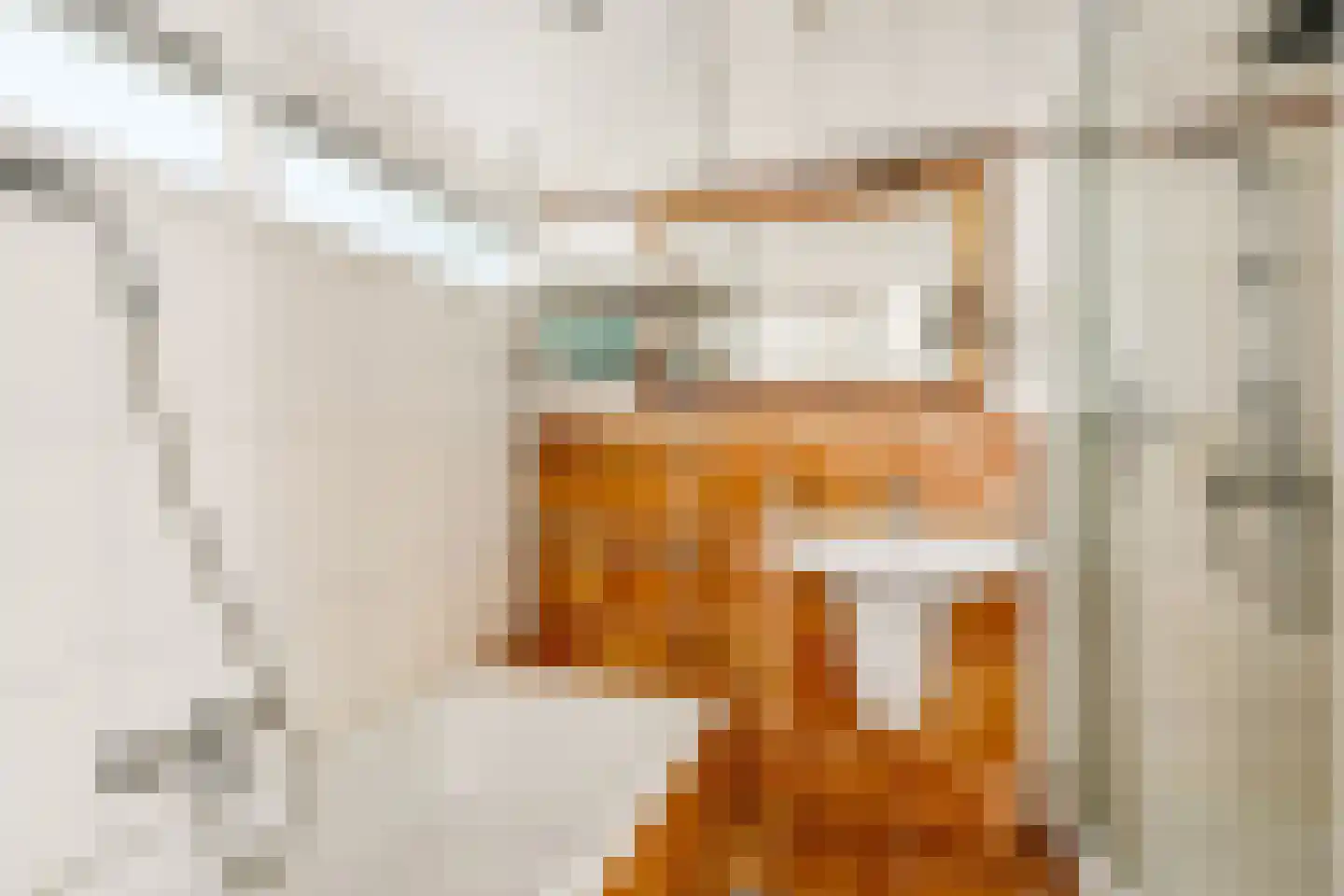 Dennenlaan 7 Zwolle thumbnail 18