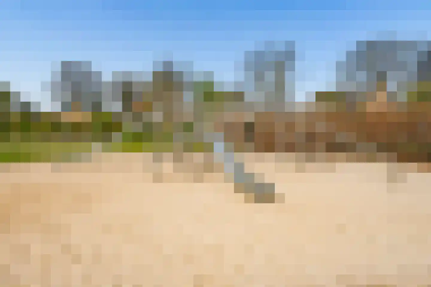 Dennenlaan 7 Zwolle thumbnail 29