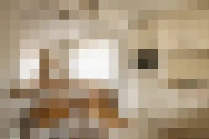 Dennenlaan 71 Zwanenburg thumbnail 17