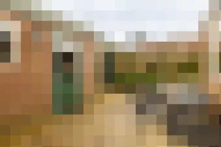Dennenlaan 71 Zwanenburg thumbnail 23