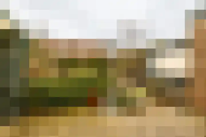 Dennenlaan 71 Zwanenburg thumbnail 24