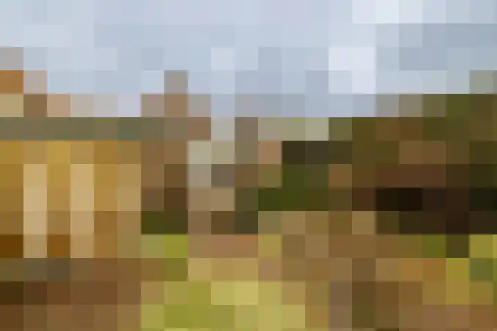 Dennenlaan 71 Zwanenburg thumbnail 26