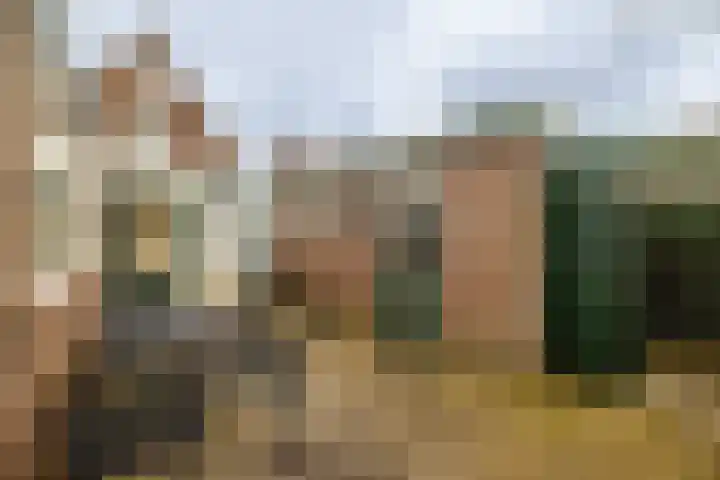 Dennenlaan 71 Zwanenburg thumbnail 27