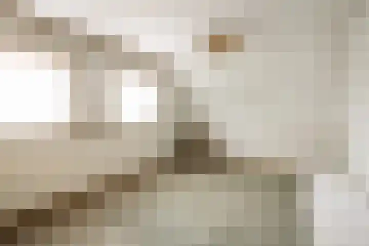 Dennenlaan 71 Zwanenburg thumbnail 32