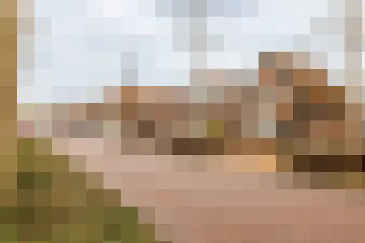 Dennenlaan 71 Zwanenburg thumbnail 34