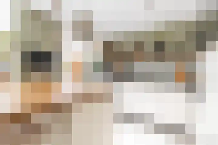 Dennenlaan 73 Leimuiden thumbnail 11