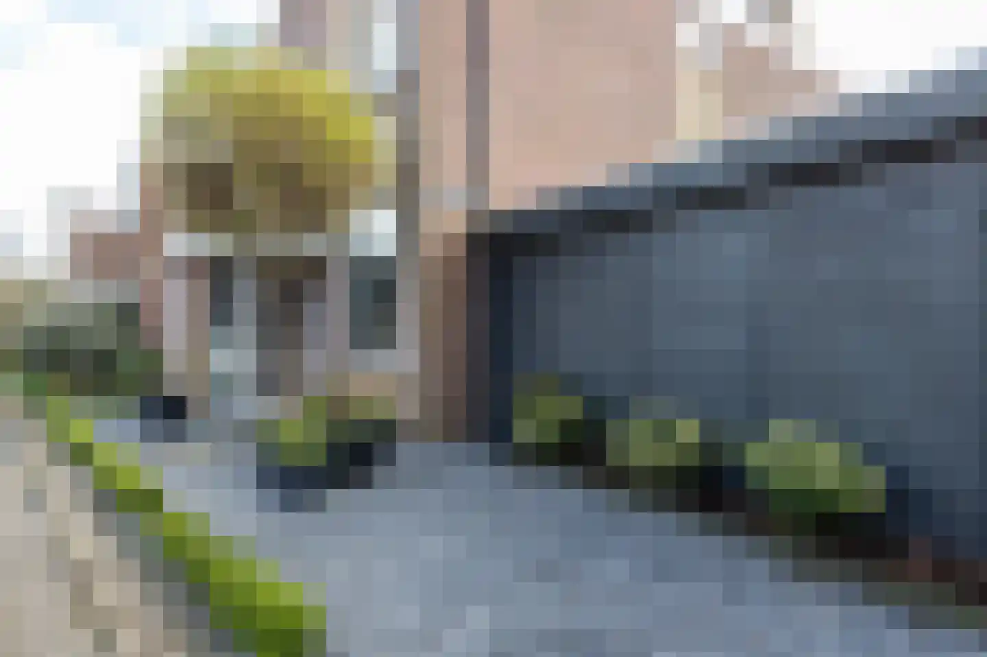 Dennenlaan 73 Leimuiden foto 2